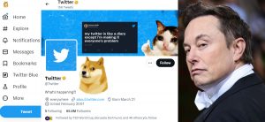 Doge meme replaces blue bird as Twitter’s logo
