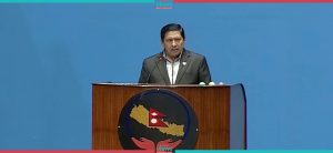 Govt committed to peace and security: DPM Shrestha