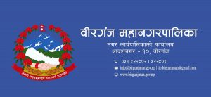 Birgunj Metropolis launches demolition drive to remove illegal structures