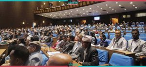 MPs draw government’s attention towards upsurge in accidents