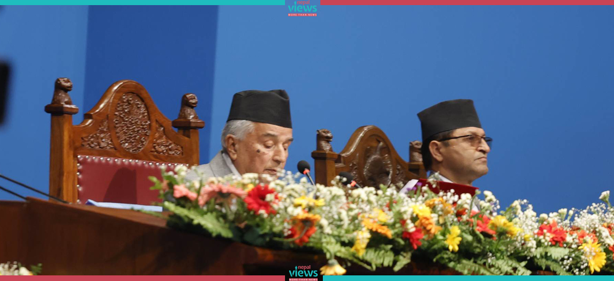 Positive results in different sectors: President Paudel