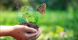 International Day for Biological Diversity being observed