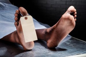 Yarsa picker dies in Darchula