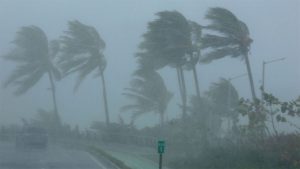 Rain with gusty wind likely on Wednesday and Thursday