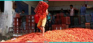 Furious farmers throw tomatoes on streets during demonstration (Photo Feature)