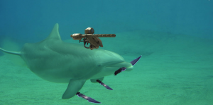 Russia training ‘combat dolphins’ in Crimea to fight against Ukraine: UK