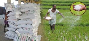 No shortage of chemical fertilizers in Madhesh province