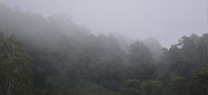 Light rain and snowfall predicted in mountainous areas today