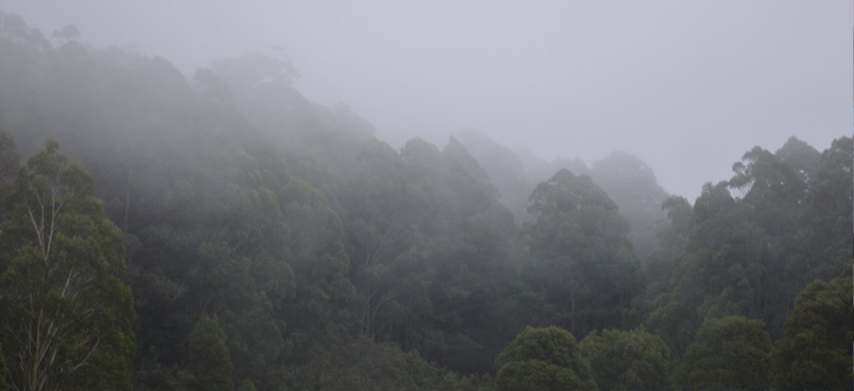 Light rain and snowfall predicted in mountainous areas today