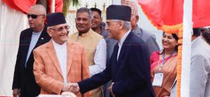 Festival reception of Nepali Congress (Photo Feature)