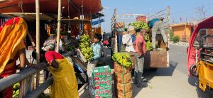 Banana farming fetches Rs 150 million income annually in Parbat