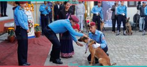 Exhibition of Police Dog Squad ‘K9’ (Photo Feature)
