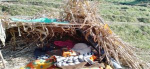 Jajarkot Earthquake Update: Death of 16 earthquake victims due to shivering cold in Jajarkot