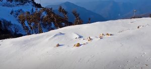 Snowfall in Sandakpur area