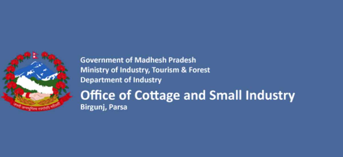 Economic crisis leads to closure of 177 industries in Parsa