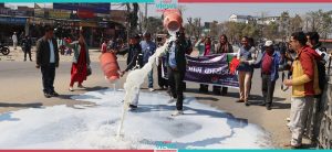 Kailali farmers enforce ‘Chakka Jam’ by spilling milk on streets (Photos)