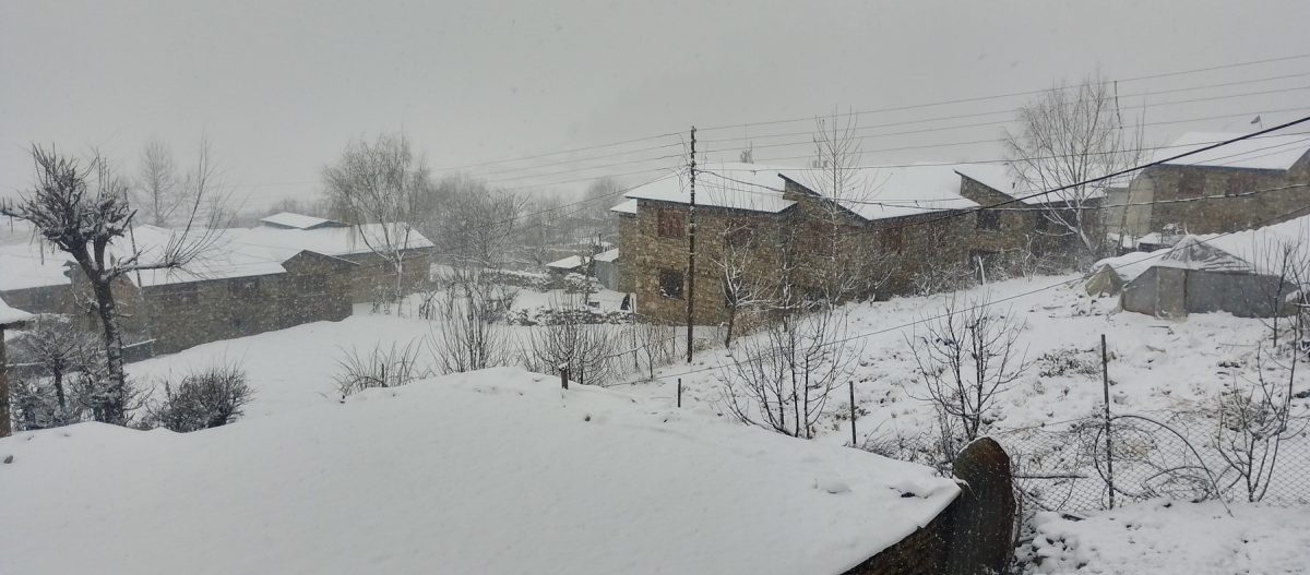 Snowfall in Jumla cherishes farmers (Photos)