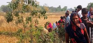 Police recover woman’s dead body from wheat field