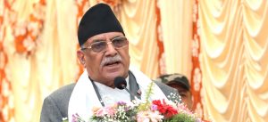 Newari and Tamang languages declared as official vernacular within Bagmati province