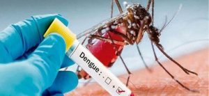 Death toll from dengue reaches seven in Gandaki