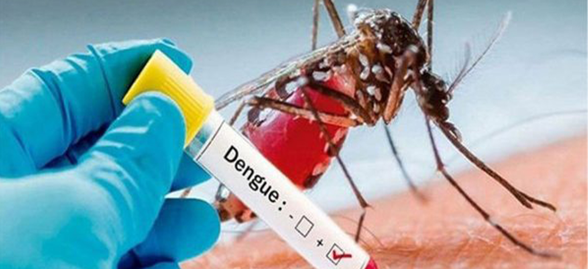 Death toll from dengue reaches seven in Gandaki