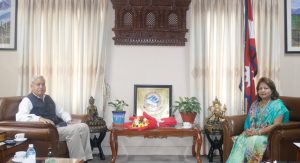 Meeting between Indian Ambassador and Minister of Foreign Affairs