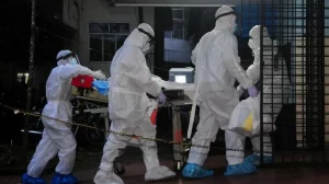 High alert issued after detection of Nipah virus in Kerala