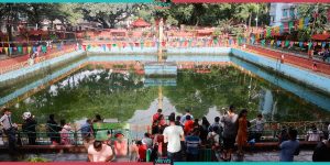 Nag Panchami Celebration (Photo Feature)