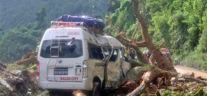 Nine passengers injured, after falling tree hits moving micro bus
