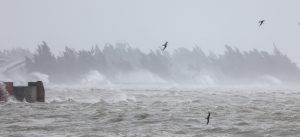 Super Typhoon Yagi leaves at least 2 dead in China’s Hainan