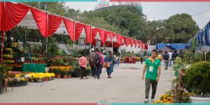 Tihar Flora Expo at Bhrikutimandap (Photo Feature)