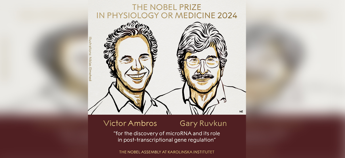 Nobel Prize in Medicine to Ambros and Ruvkum