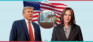 US media: Trump at 243 electoral votes, Harris at 194