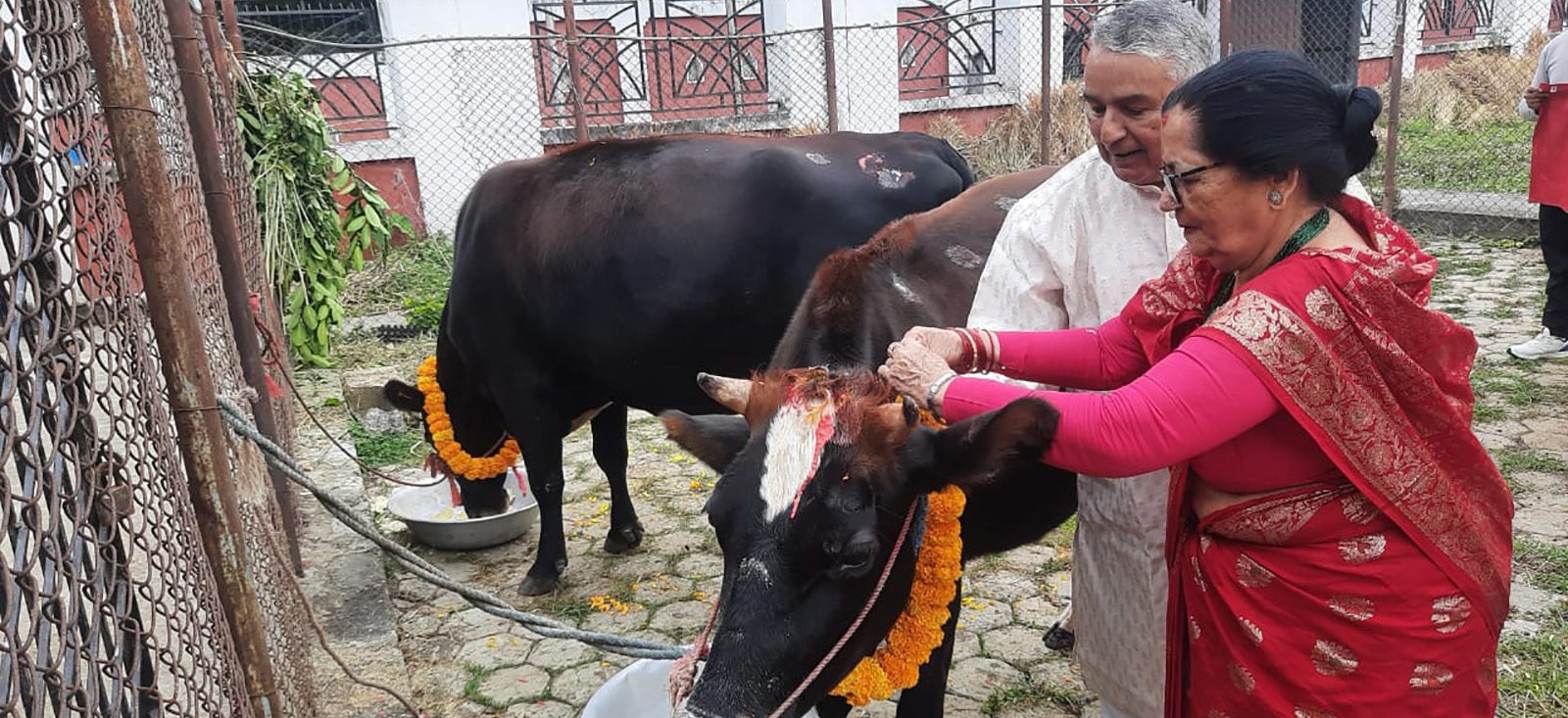 President Paudel performs Gai Puja
