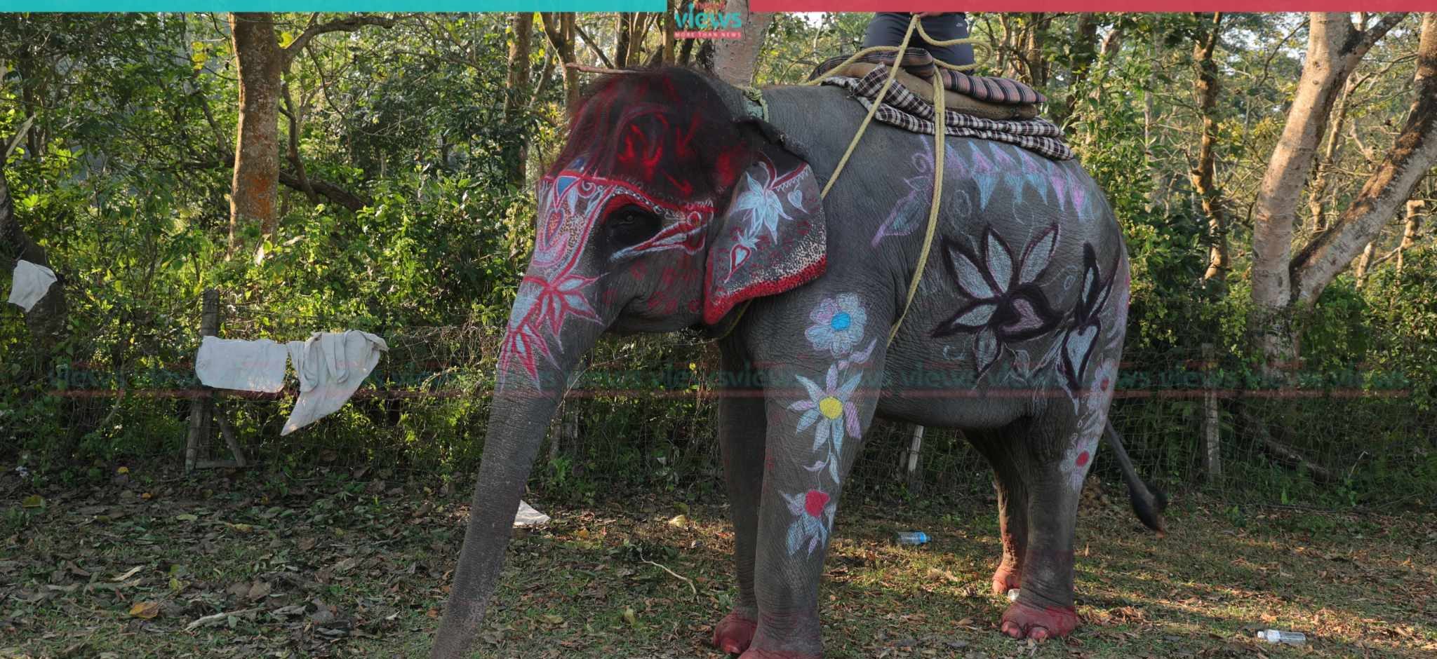 Bijuli Kali bags title of Miss Elephant