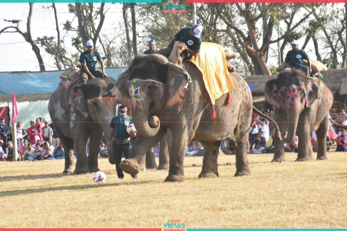 Basanti Kali Group defeat Selfie Kali Group in penalty shootout