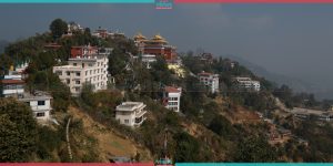 Namobuddha-Mahsatva’s sacrifice and selflessness to save life of tigress and her cubs (Photo Feature)