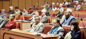Resolution motion on dignified menstruation registered in NA