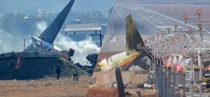 Bird feathers and bloodstains found in Jeju jet engines