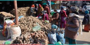 Yam for Maghe Sankranti in Kalimati (Photo Feature)