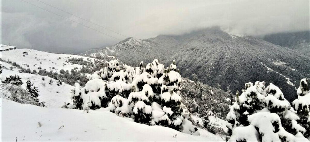 Classes suspended in 93 community schools in Solukhumbu due to extreme cold