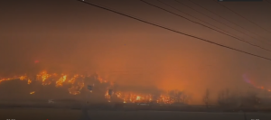 Around 26 people died in South Korea’s wildfire