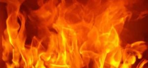 Fire engulfs Tirupati Wood Panel Industry