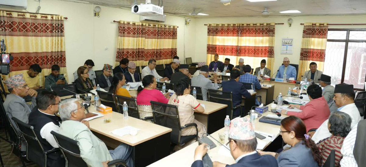 Parliamentary Committee endorses Federal Civil Service Bill