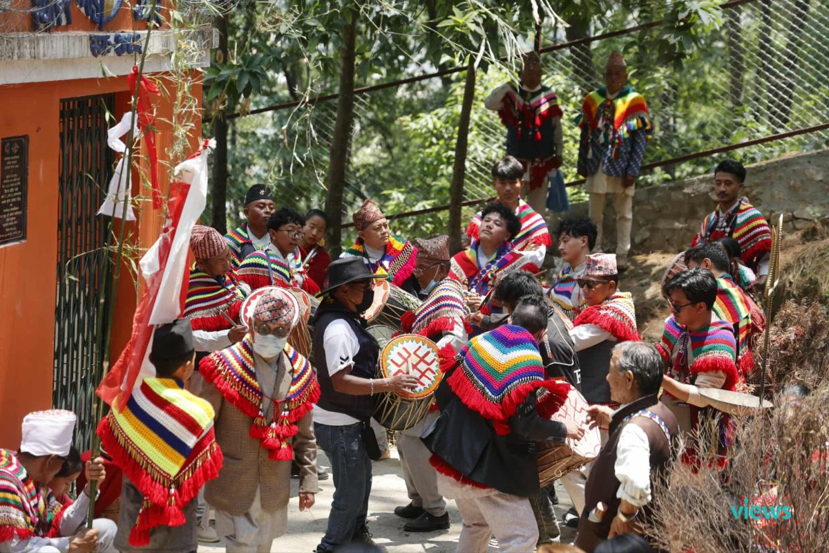 Ubhauli