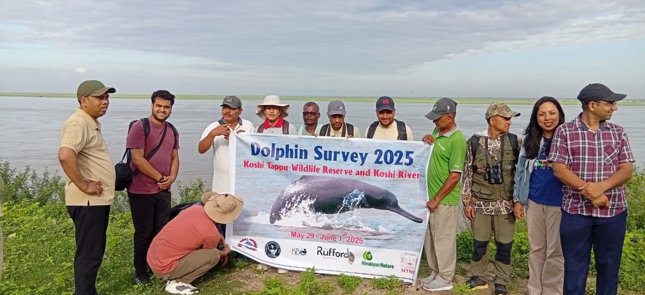 Dolphin census begins in Saptakoshi River