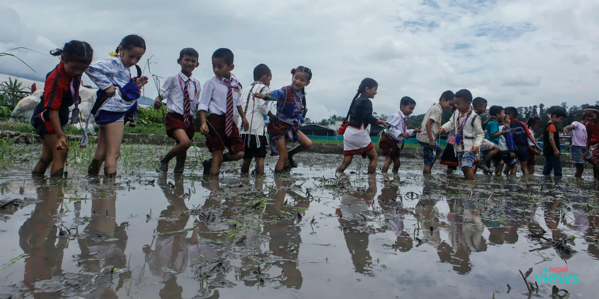 Students celebrate 22nd National Paddy Day (Photo Feature)
