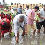 Farmers celebrate 22nd National Paddy Day (Photos)