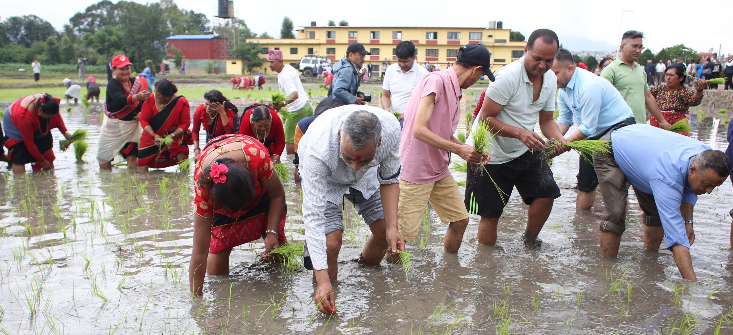 Farmers celebrate 22nd National Paddy Day (Photos)