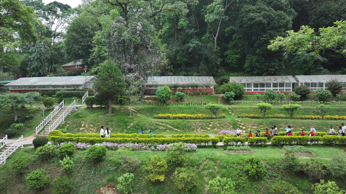 Godawari 